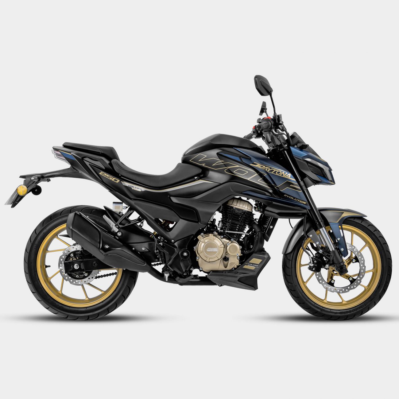 WOLF Evolution 250 CC - Daytona